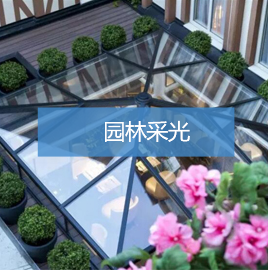 图层 41.png